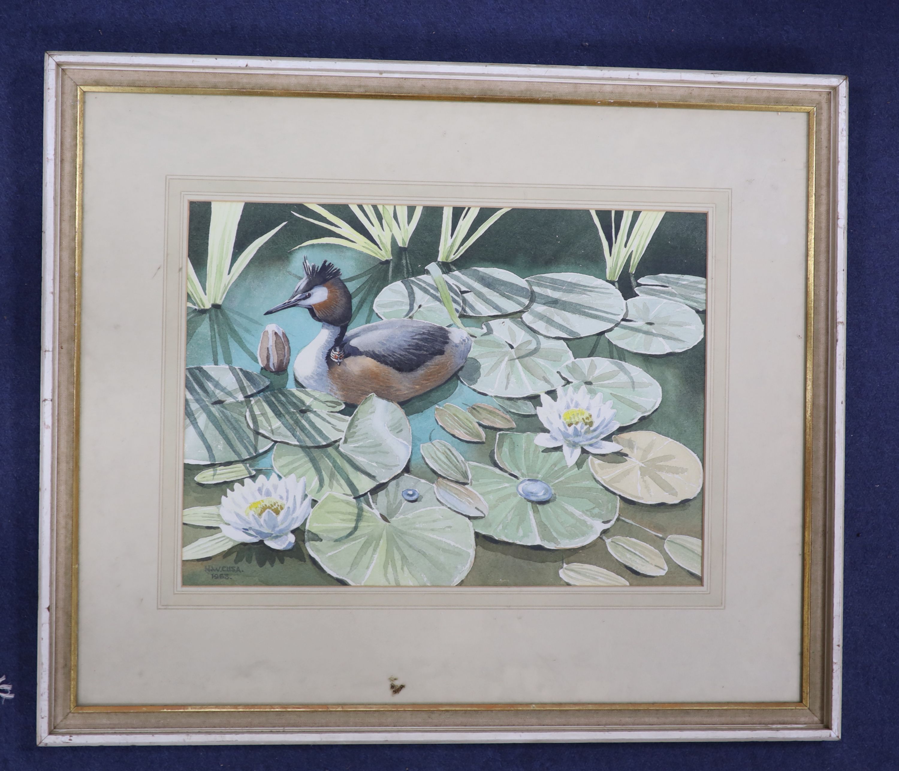 Noel William Cusa (1909-1990), watercolour, Grebe Parenthood, signed, 34 x 48cm.